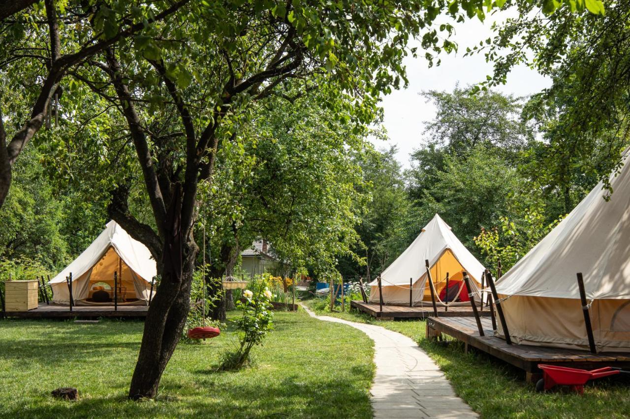 Dragonfly Gardens Urban Glamping Brasov Hotell Eksteriør bilde