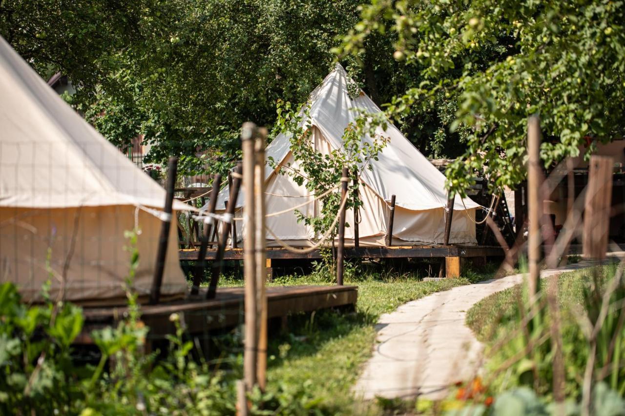 Dragonfly Gardens Urban Glamping Brasov Hotell Eksteriør bilde