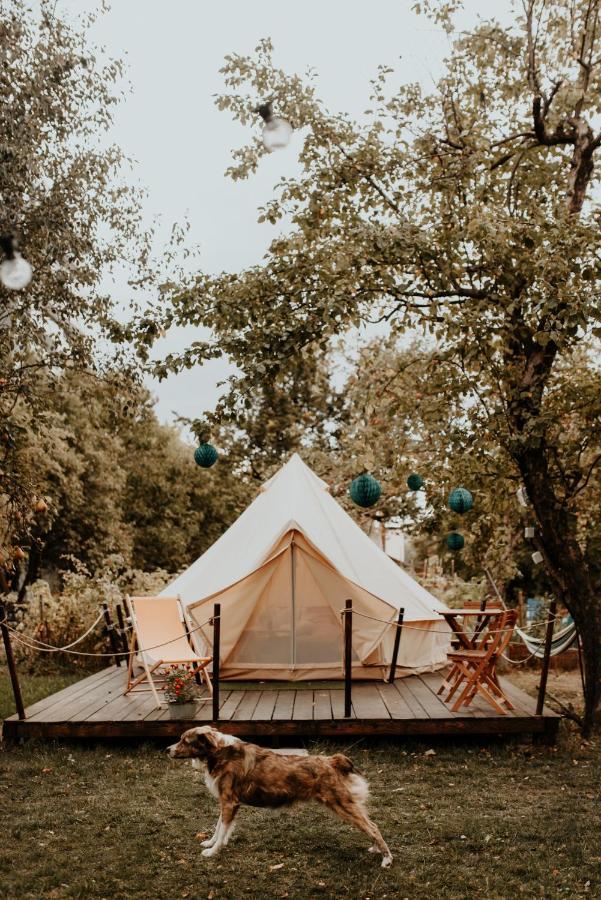Dragonfly Gardens Urban Glamping Brasov Hotell Eksteriør bilde