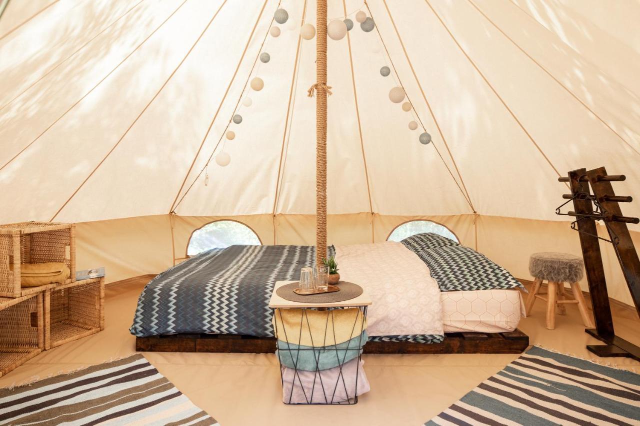 Dragonfly Gardens Urban Glamping Brasov Hotell Eksteriør bilde