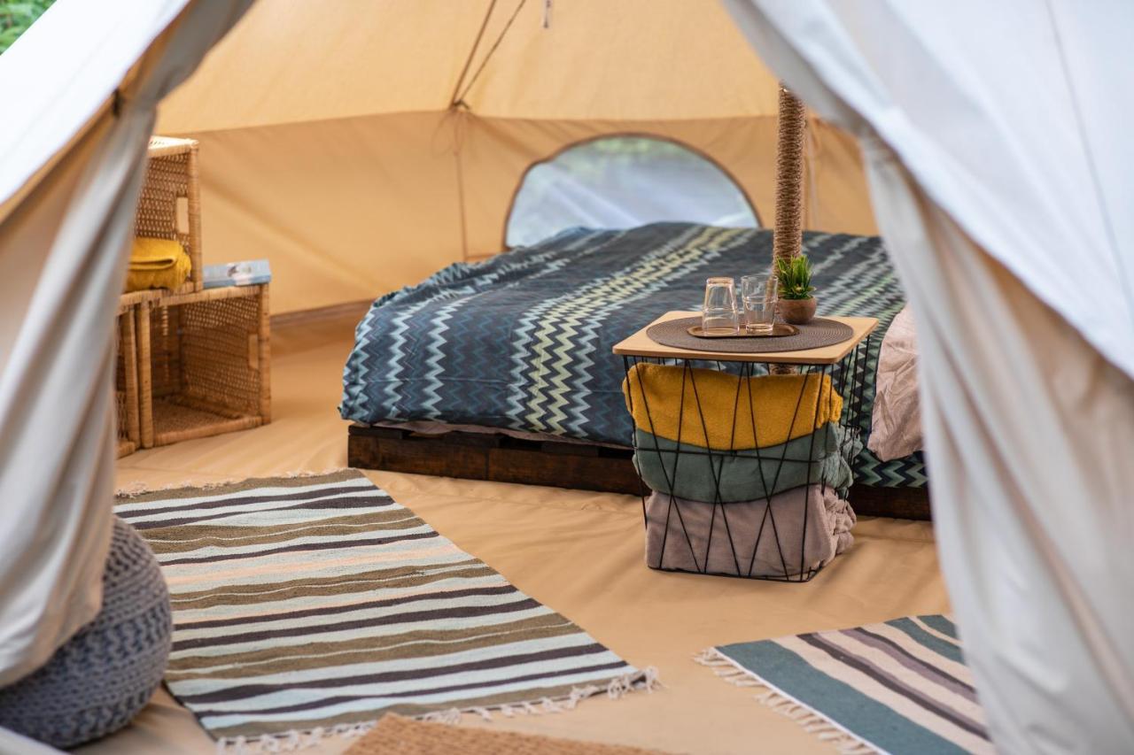 Dragonfly Gardens Urban Glamping Brasov Hotell Eksteriør bilde