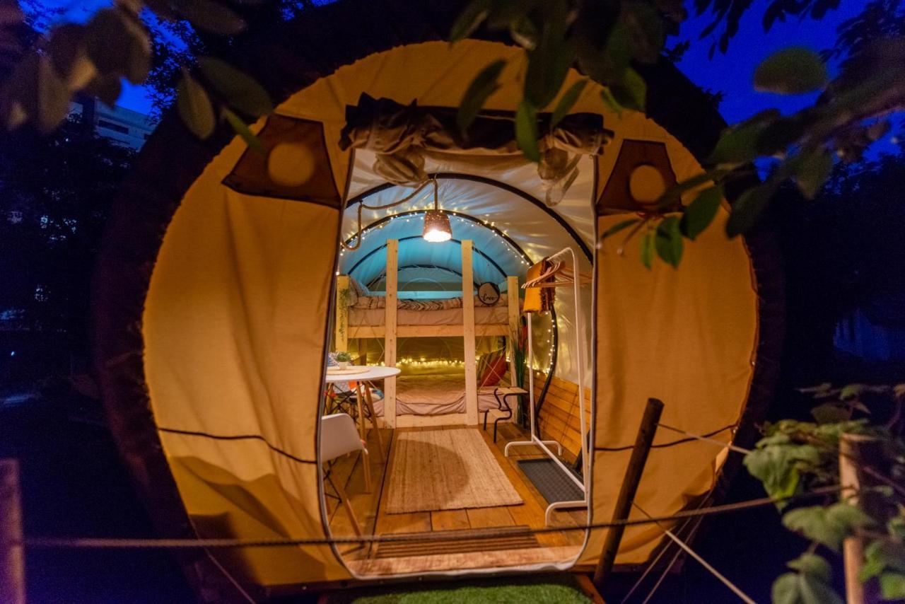 Dragonfly Gardens Urban Glamping Brasov Hotell Eksteriør bilde