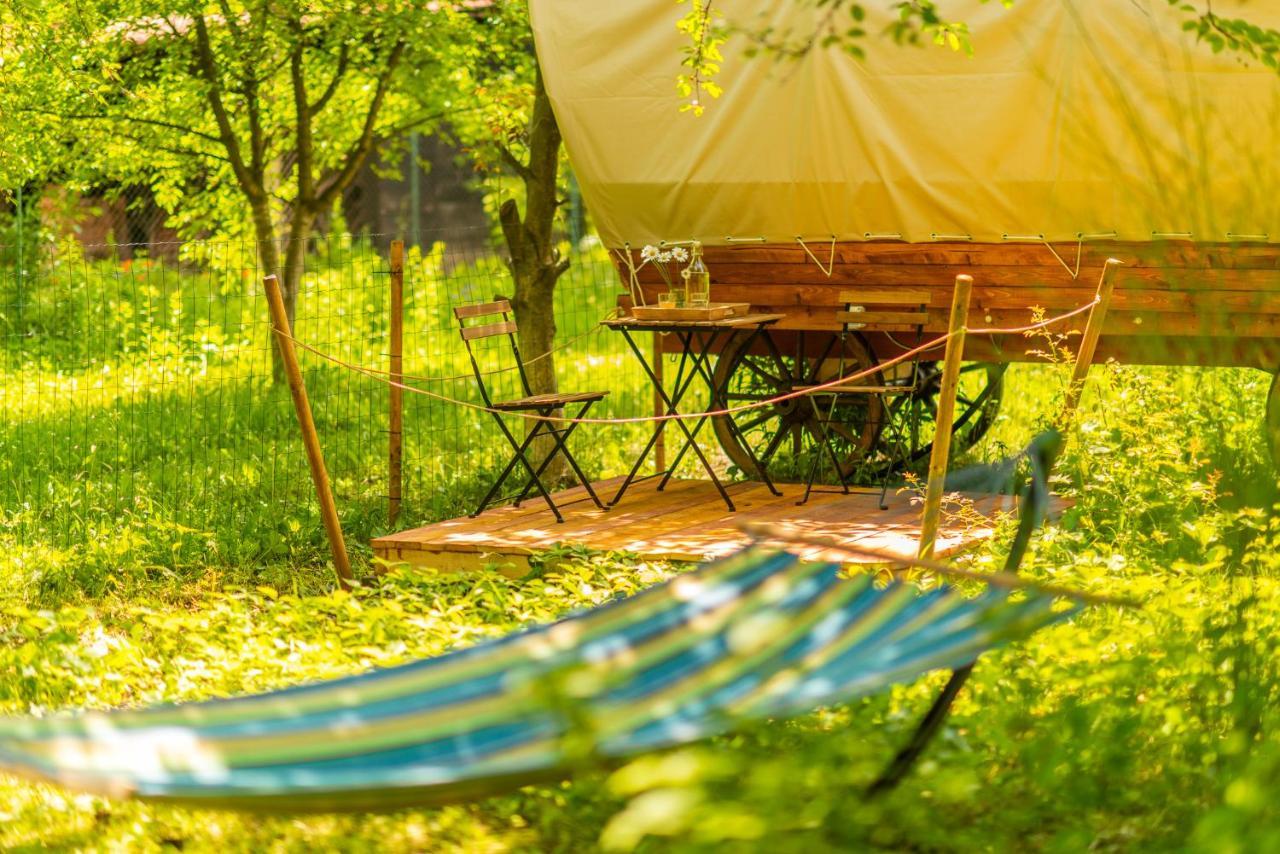 Dragonfly Gardens Urban Glamping Brasov Hotell Eksteriør bilde