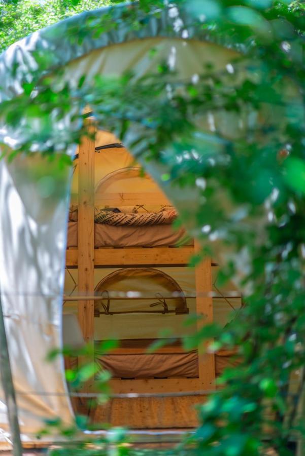 Dragonfly Gardens Urban Glamping Brasov Hotell Eksteriør bilde