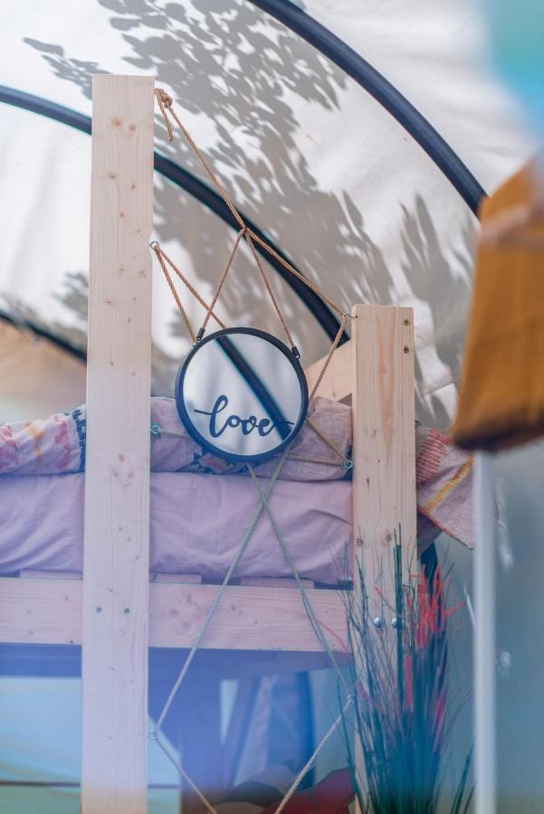 Dragonfly Gardens Urban Glamping Brasov Hotell Eksteriør bilde